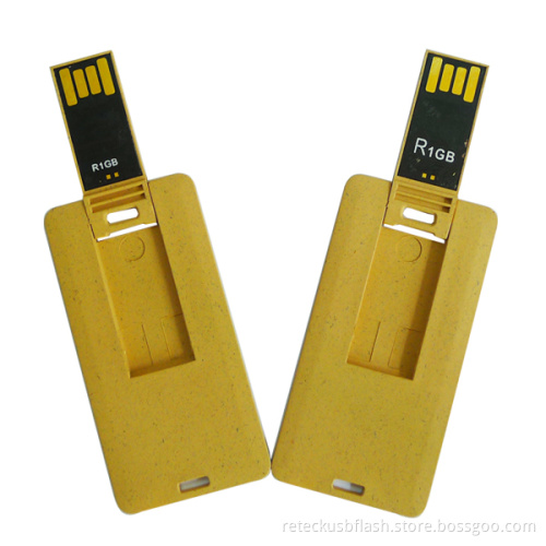 Fancy 2gb USB Flash Drive Business Cards